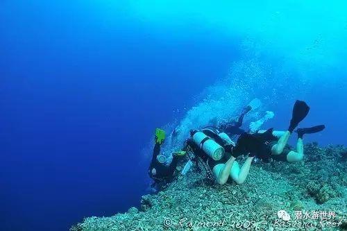夏季纽扣裙